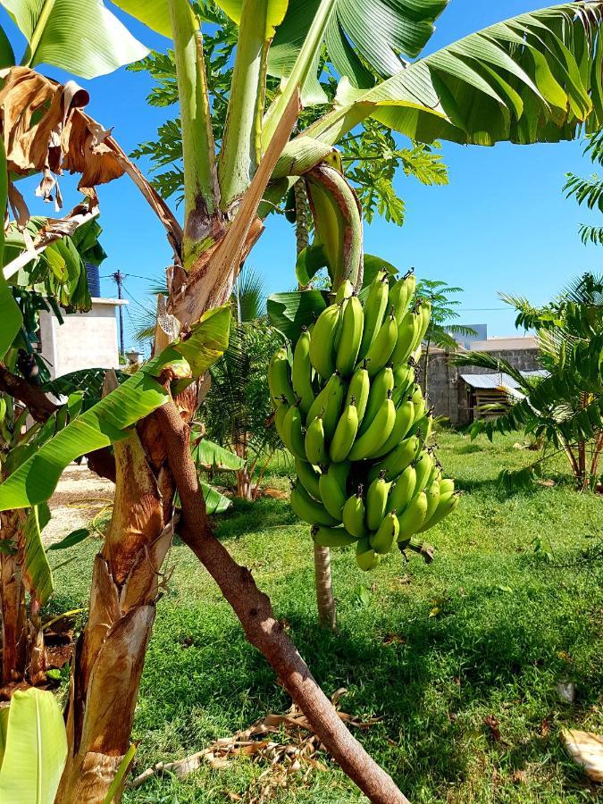 Mimi Na Wewe Villa Nungwi Exteriér fotografie