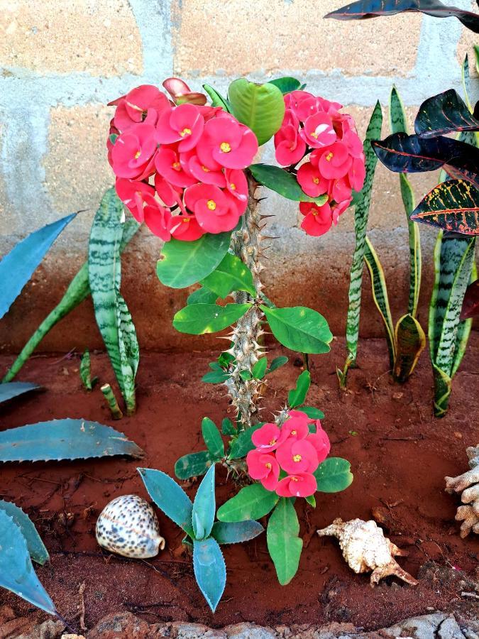 Mimi Na Wewe Villa Nungwi Exteriér fotografie